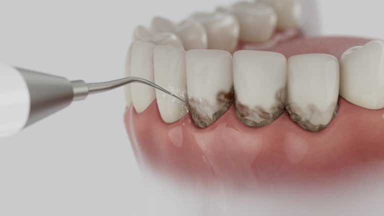 Reliable Emergency Dentist contractor in Harford County County, MD by Dentist Open Now